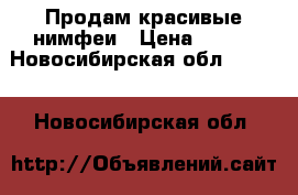 Продам красивые нимфеи › Цена ­ 700 - Новосибирская обл.  »    . Новосибирская обл.